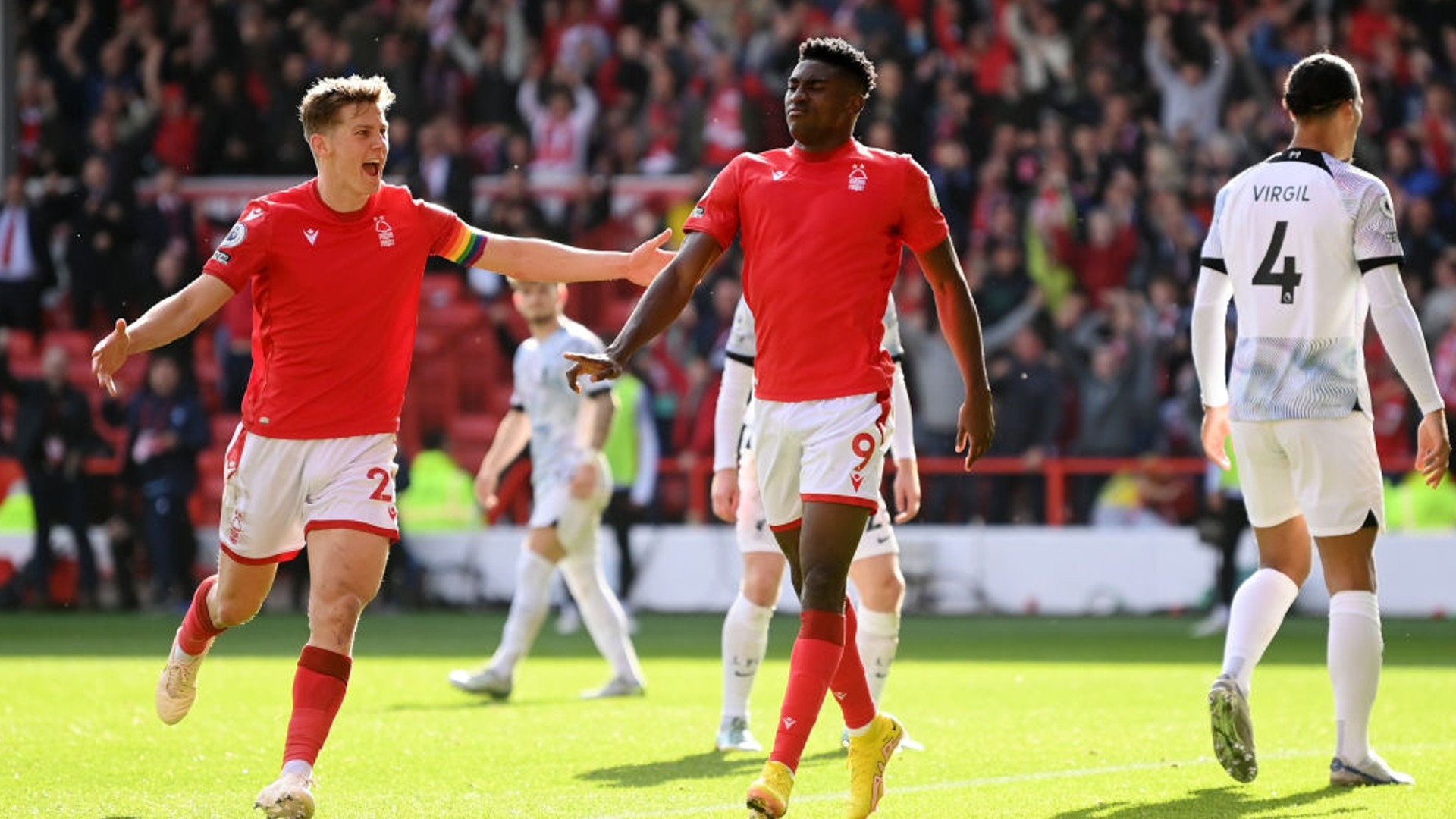 伊布的故事 伊布的故事